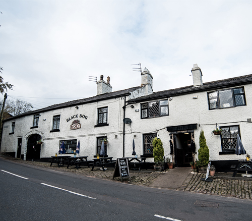 black dog pub front belmont