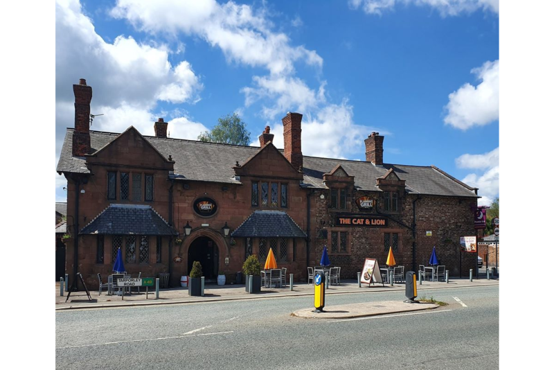 cat and lion stretton