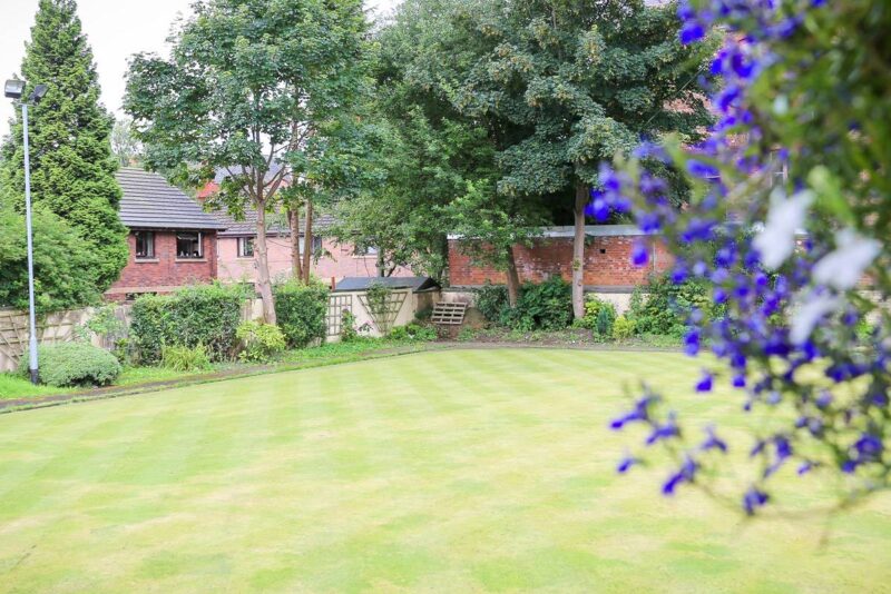 ye golden lion grass beer garden