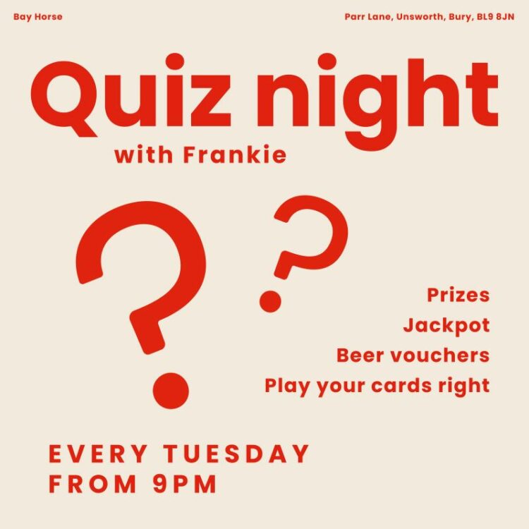 Quiz Night Bay Horse