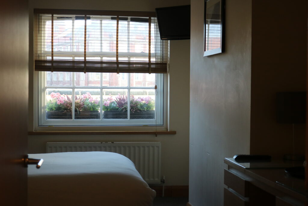 The Lower Turks Head Double Room