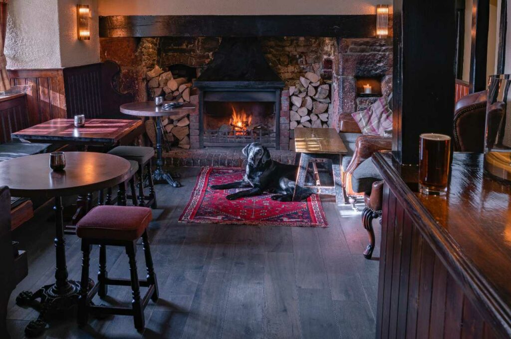 A large black dog sitting by a fireplace on a red carpet