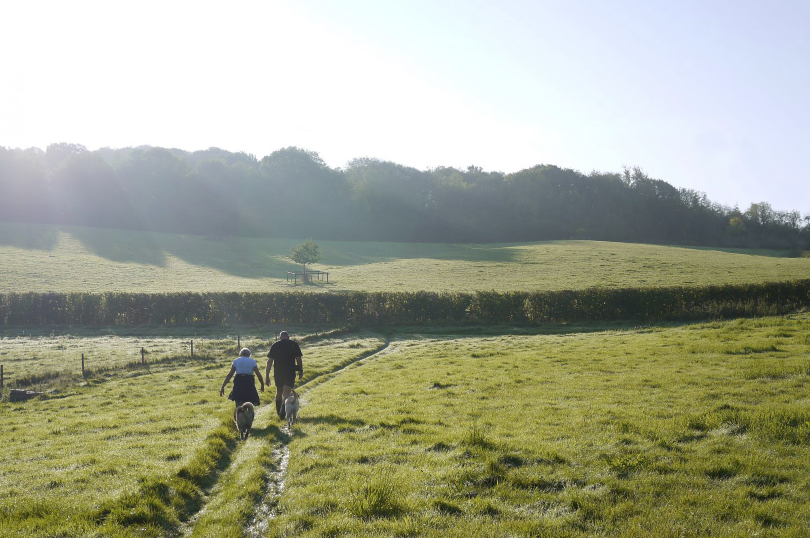 Two people seen from behind, walking on a path in a green field