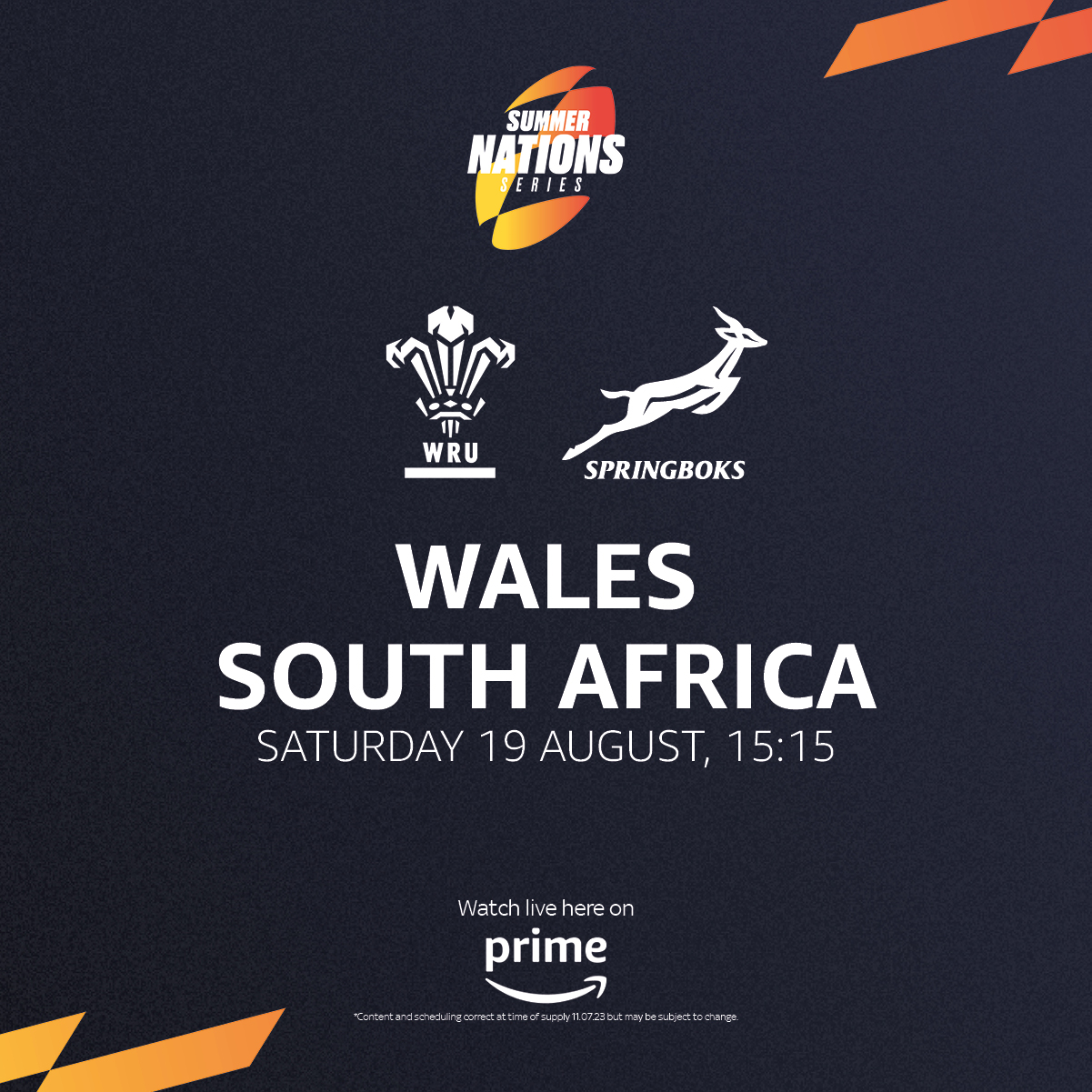 Wales vs South Africa
